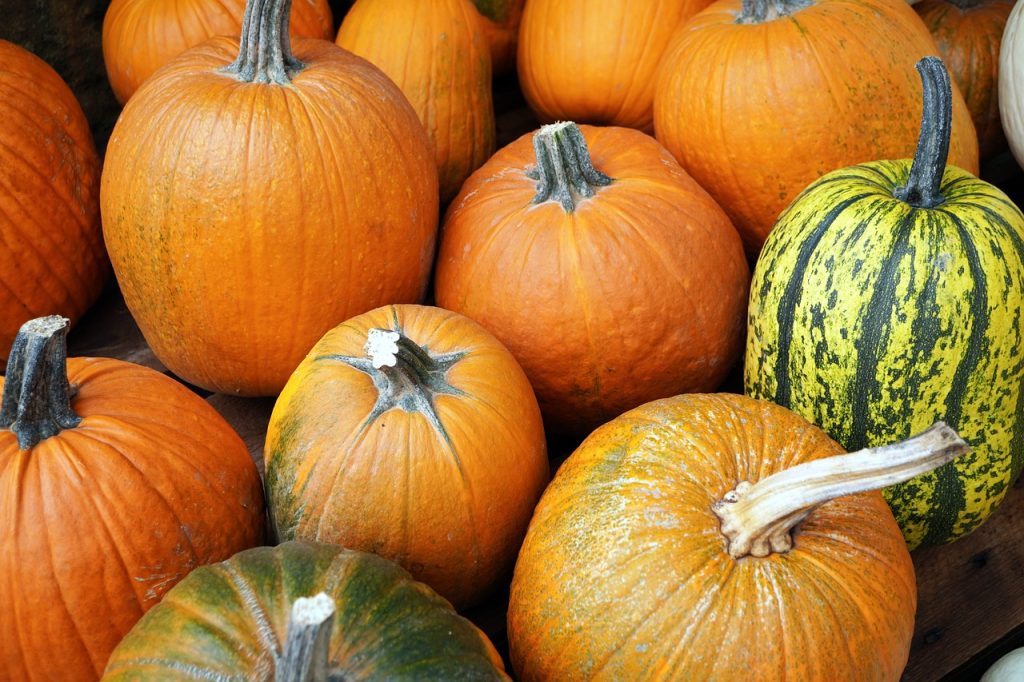 Easy and Versatile Pumpkin Recipes