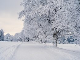 Within minutes, a winter storm in the United States will cause frostbite