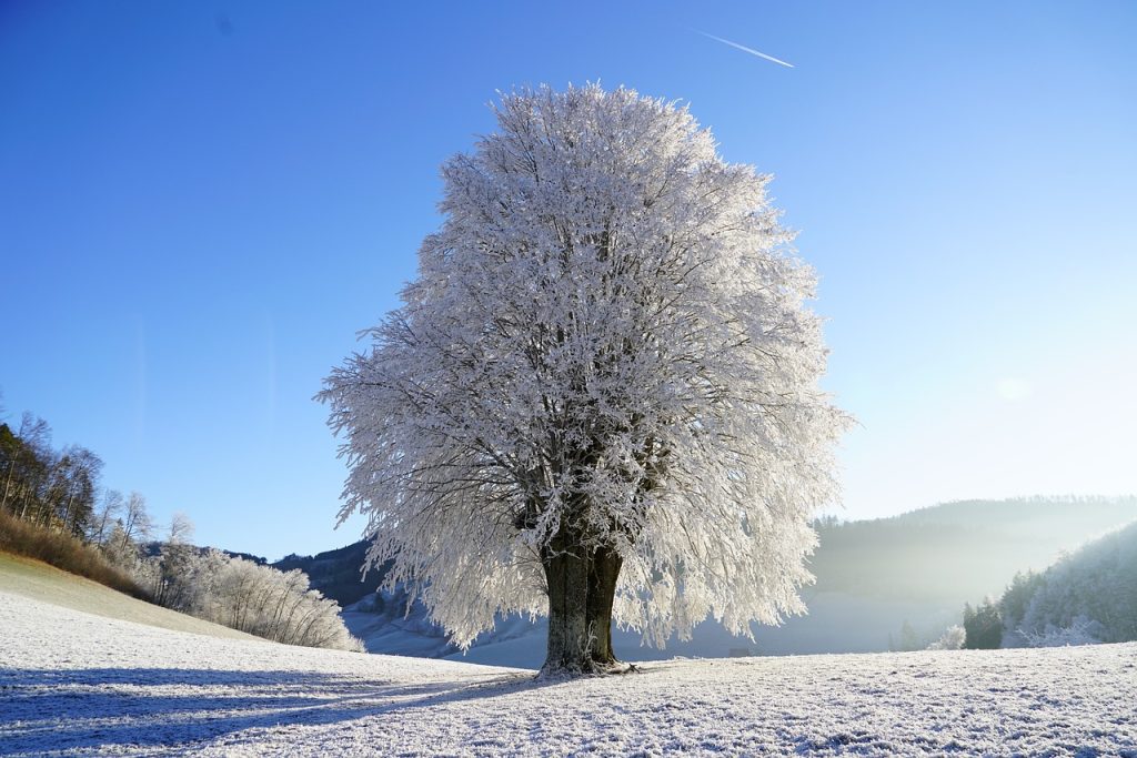 Within minutes, a winter storm in the United States will cause frostbite