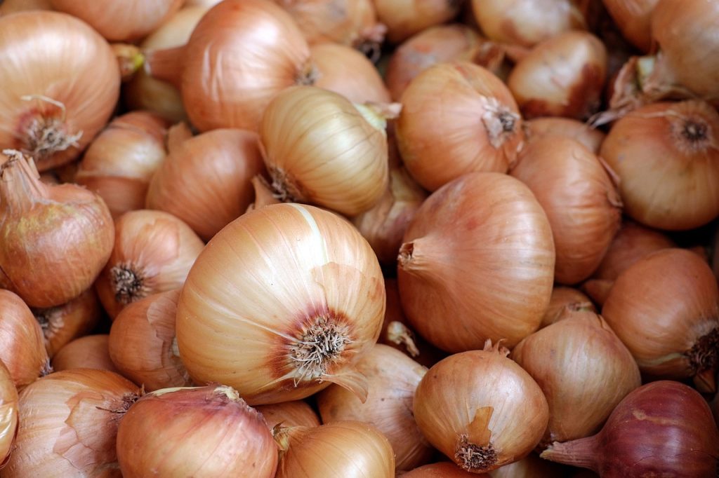 The Changing Face of Onions in the Philippines