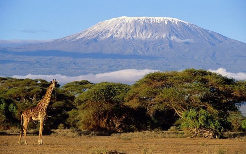 The Challenges and Rewards of Climbing Kilimanjaro and Everest