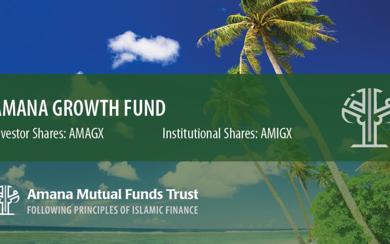 The Investment Strategy of the Amana Growth Fund