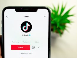 Will TikTok Survive in the US? Chinese Stake in Jeopardy