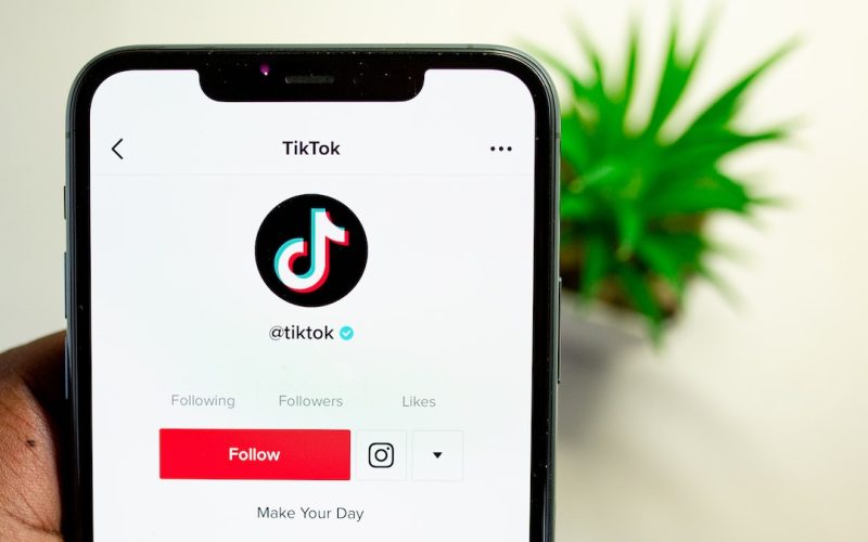 Will TikTok Survive in the US? Chinese Stake in Jeopardy