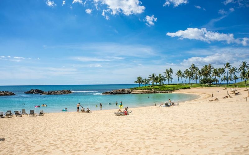 Compliance Made Easy: Getting Your Business License in Hawaii