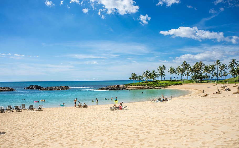 Compliance Made Easy: Getting Your Business License in Hawaii